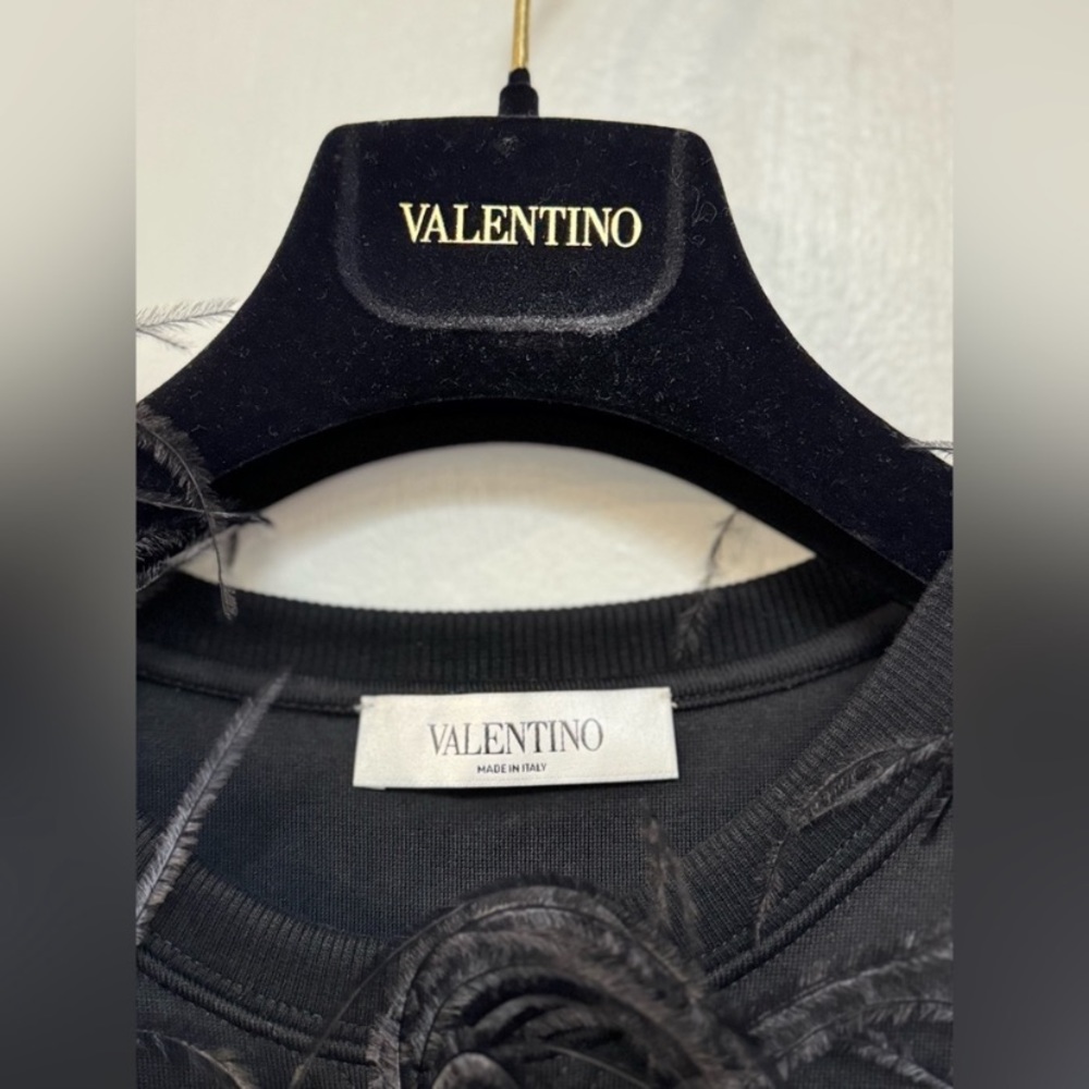 Valentino Garavani ostrich feather hoodie - Picture 6 of 10